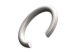D1 Inner Ring
